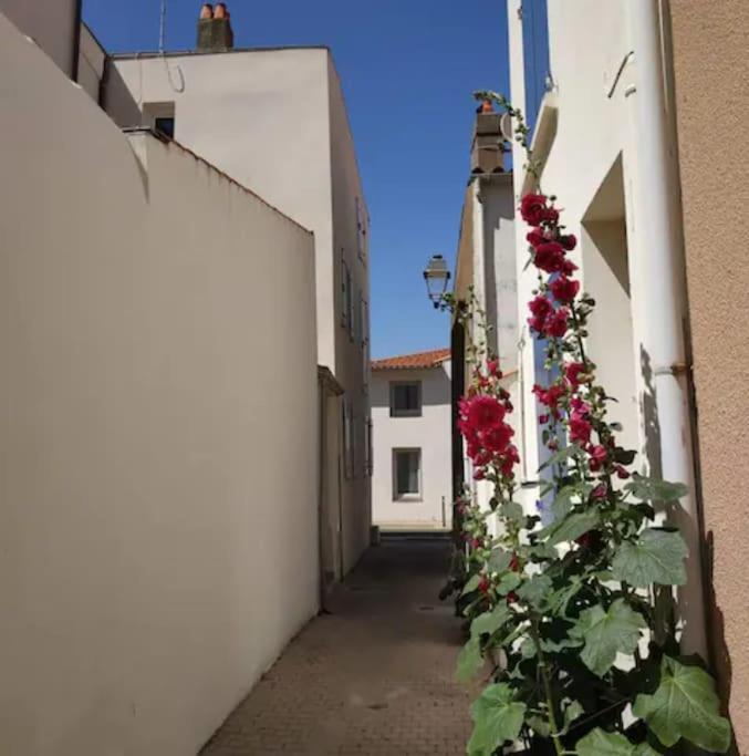 Tiny Studio Terrasse, Hypercentre La Plage A 2 Pas ! เลส์ซาบล์-โดล็อนน์ ภายนอก รูปภาพ